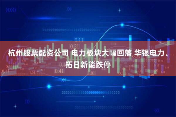 杭州股票配资公司 电力板块大幅回落 华银电力、拓日新能跌停