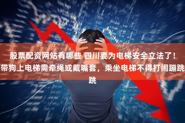 股票配资网站有哪些 四川要为电梯安全立法了！带狗上电梯需牵绳或戴嘴套，乘坐电梯不得打闹蹦跳